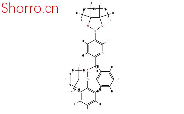 2-(叔丁基二基錫)氧基甲基-吡啶-5-硼酸頻那醇酯結(jié)構式圖片|1032758-84-1結(jié)構式圖片